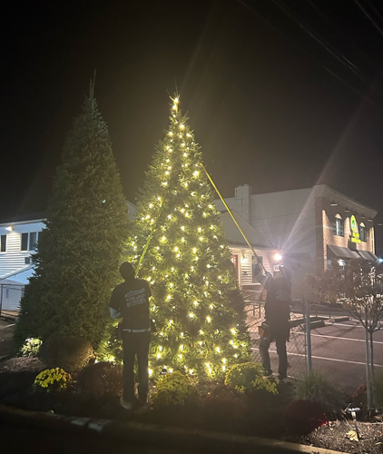 Landscape Lighting